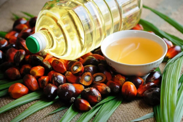 В Малайзии скопились рекордные запасы пальмового масла